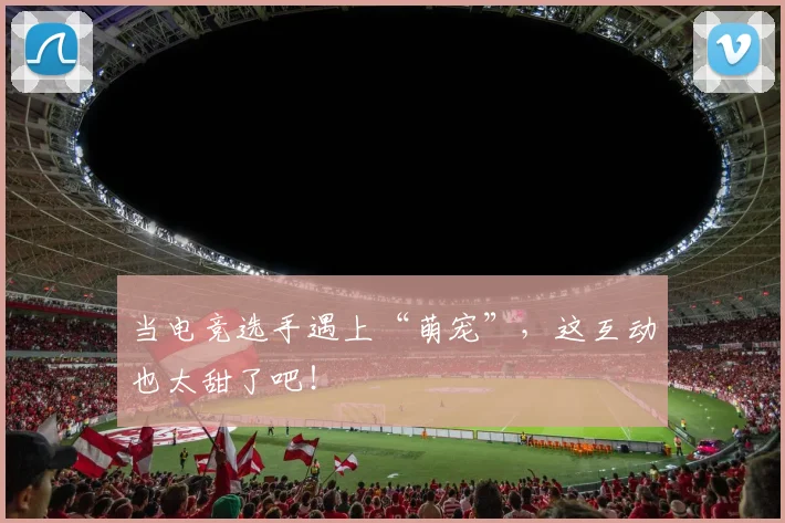 当电竞选手遇上“萌宠”，这互动也太甜了吧！