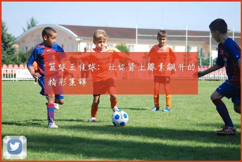 篮球五佳球:让你肾上腺素飙升的精彩集锦
