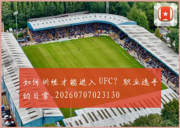 如何训练才能进入 UFC?职业选手的日常_20260707023130