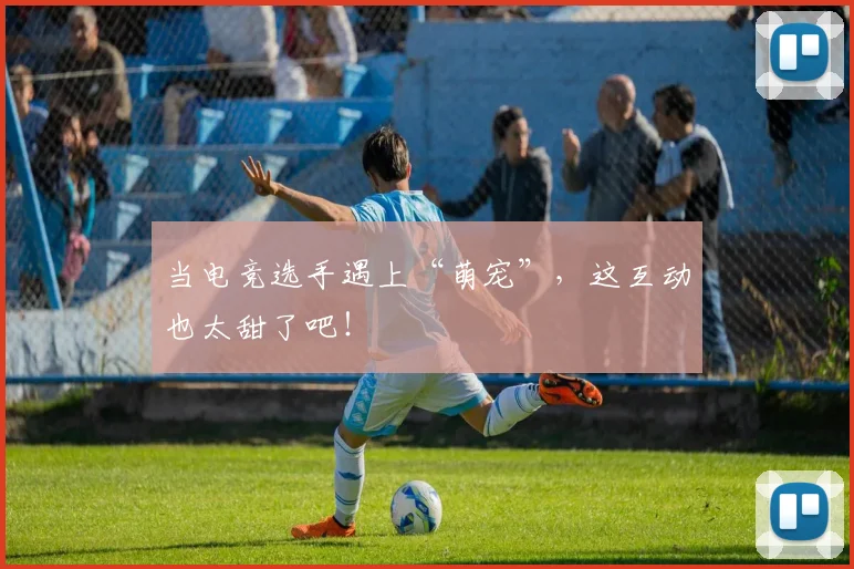 当电竞选手遇上“萌宠”,这互动也太甜了吧!